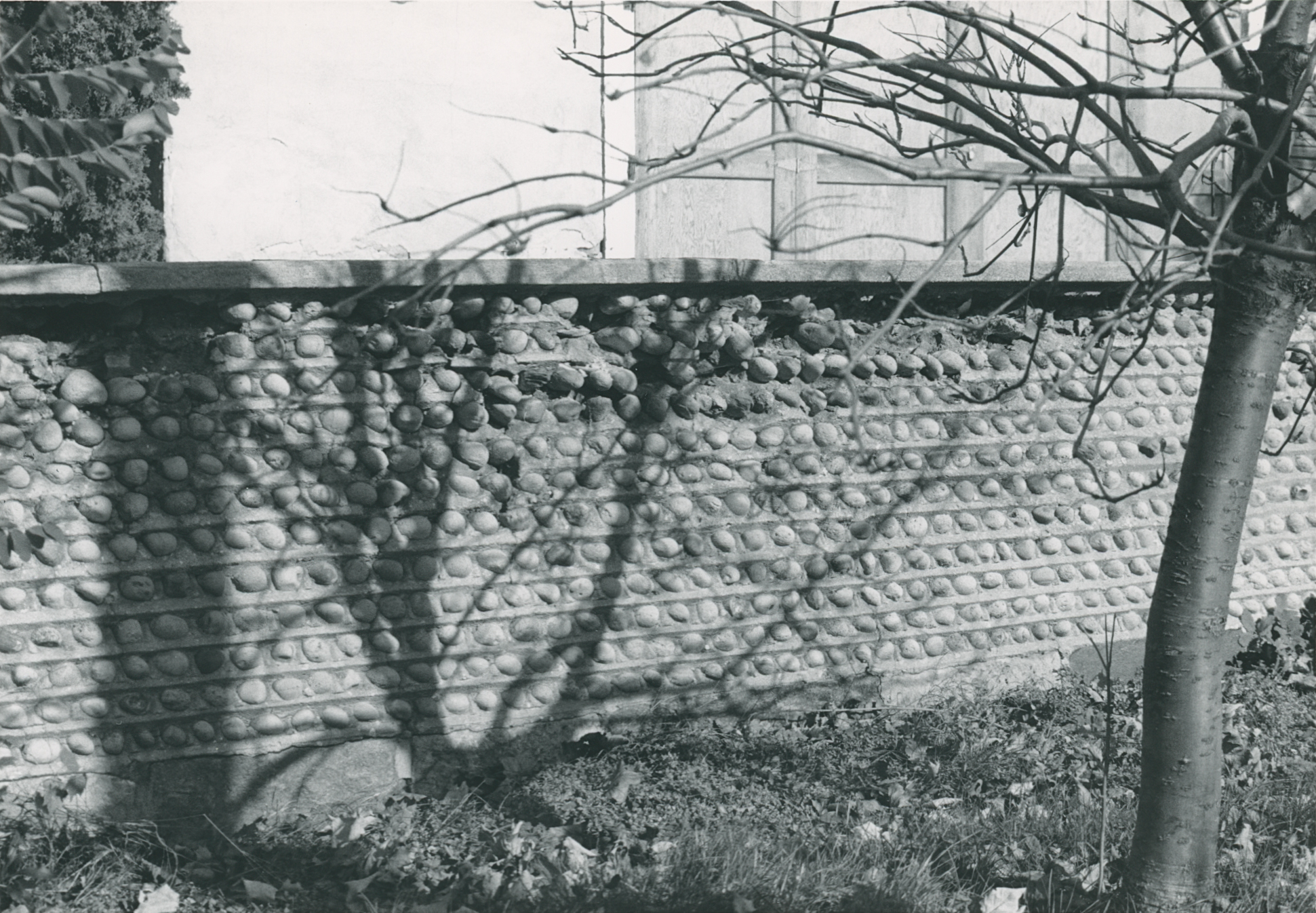 Bra-3 165 Grand River St N 6